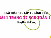 Giải bài 1 trang 37 Toán 10 tập 1 SGK Cánh Diều